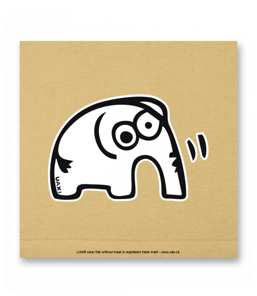 OBRAZ DO INTERIÉRU 110x110cm