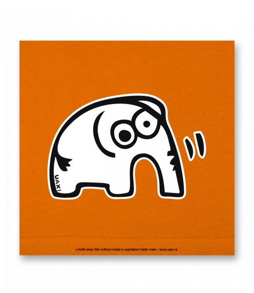 OBRAZ DO INTERIÉRU 110x110cm