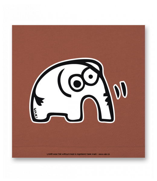 OBRAZ DO INTERIÉRU 110x110cm