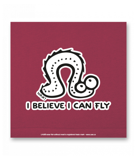 OBRAZ DO INTERIÉRU 110x110cm