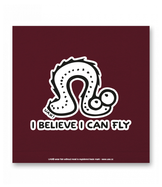 OBRAZ DO INTERIÉRU 110x110cm