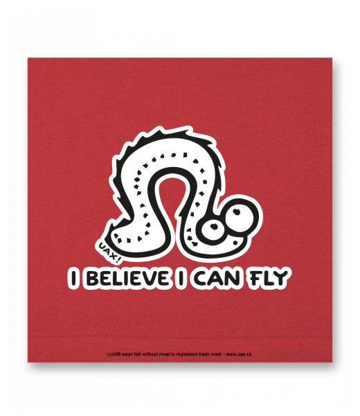 OBRAZ DO INTERIÉRU 110x110cm