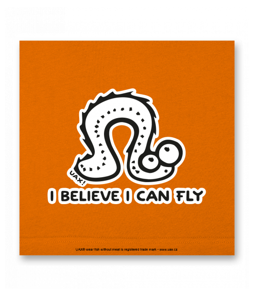 OBRAZ DO INTERIÉRU 110x110cm