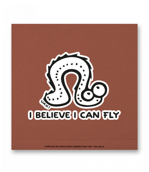 OBRAZ DO INTERIÉRU 110x110cm