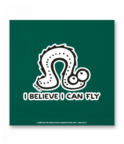 OBRAZ DO INTERIÉRU 110x110cm