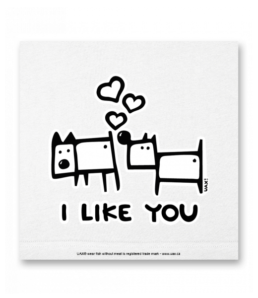 OBRAZ DO INTERIÉRU 110x110cm