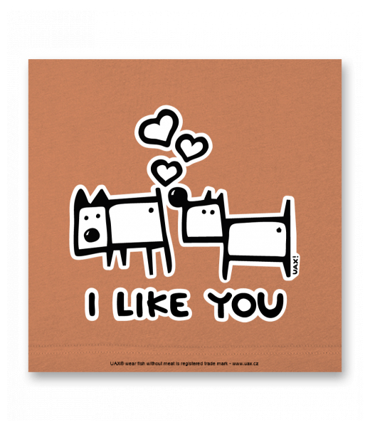 OBRAZ DO INTERIÉRU 110x110cm