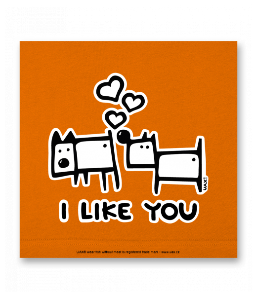 OBRAZ DO INTERIÉRU 110x110cm