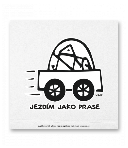 OBRAZ DO INTERIÉRU 110x110cm