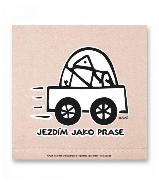 OBRAZ DO INTERIÉRU 110x110cm