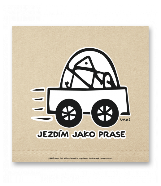 OBRAZ DO INTERIÉRU 110x110cm