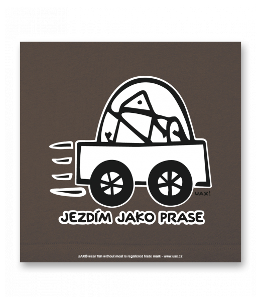 OBRAZ DO INTERIÉRU 110x110cm