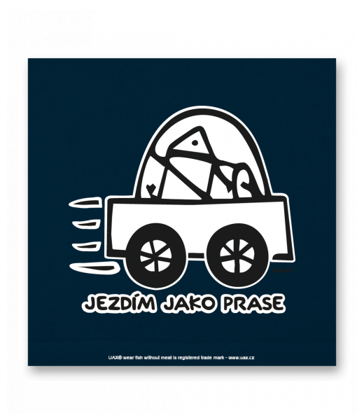 OBRAZ DO INTERIÉRU 110x110cm