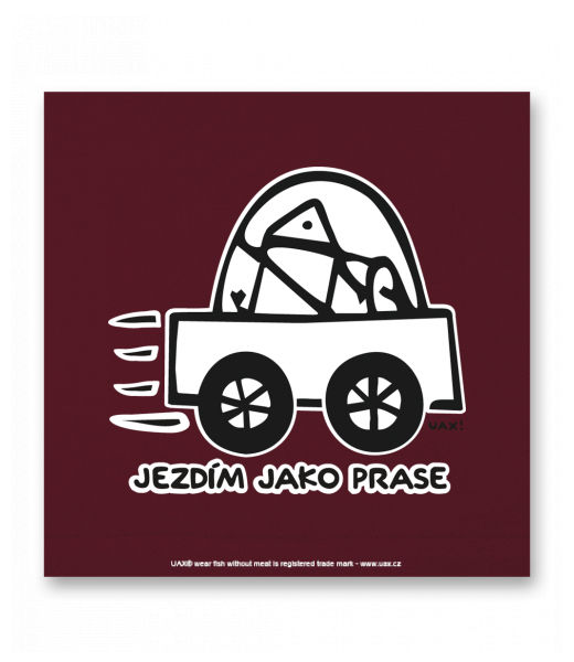 OBRAZ DO INTERIÉRU 110x110cm