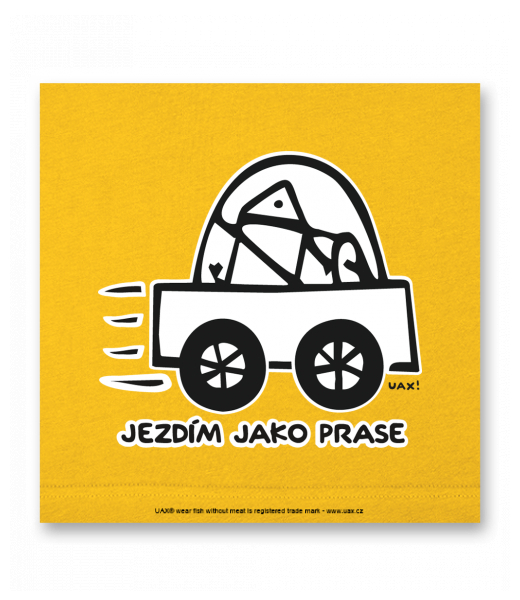 OBRAZ DO INTERIÉRU 110x110cm