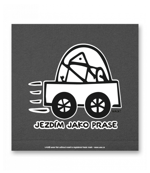 OBRAZ DO INTERIÉRU 110x110cm