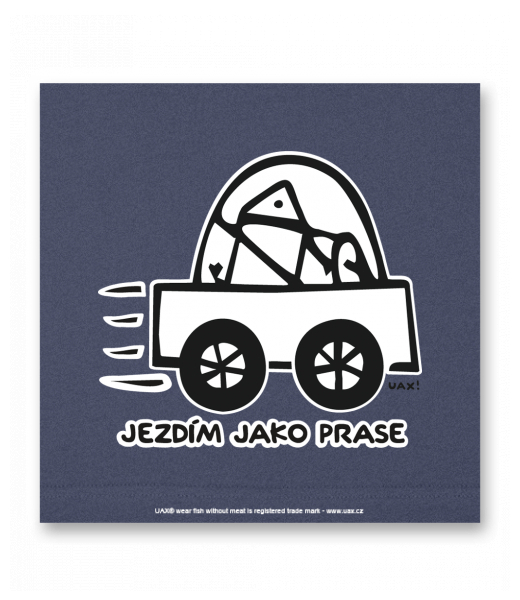 OBRAZ DO INTERIÉRU 110x110cm