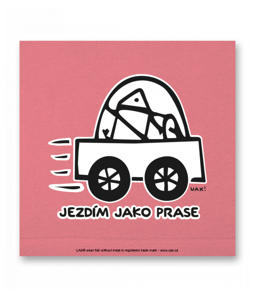 OBRAZ DO INTERIÉRU 110x110cm