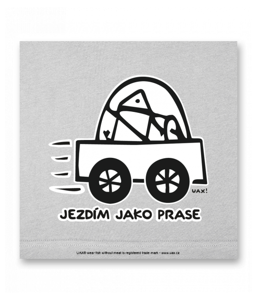 OBRAZ DO INTERIÉRU 110x110cm