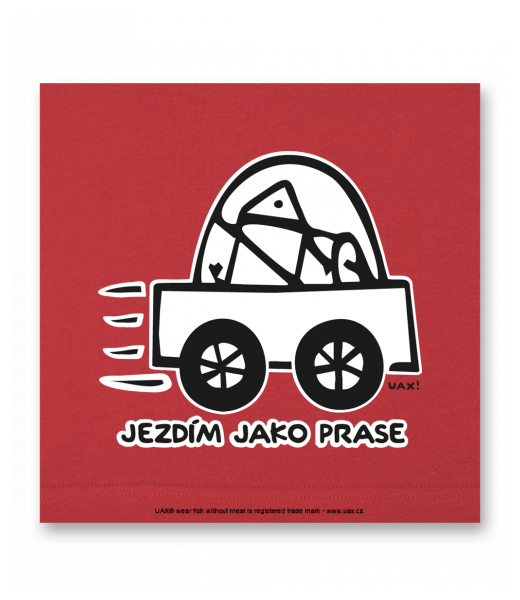 OBRAZ DO INTERIÉRU 110x110cm