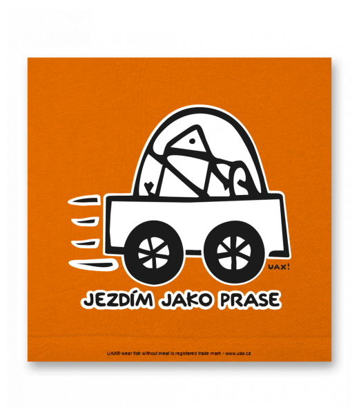 OBRAZ DO INTERIÉRU 110x110cm