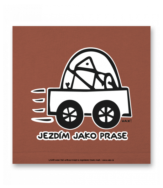 OBRAZ DO INTERIÉRU 110x110cm