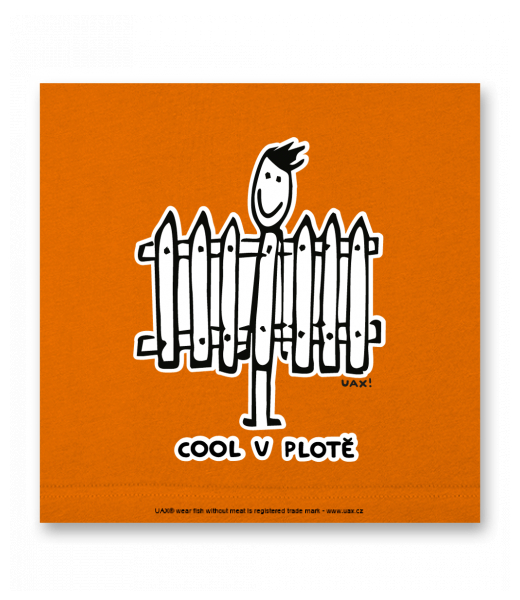 OBRAZ DO INTERIÉRU 110x110cm