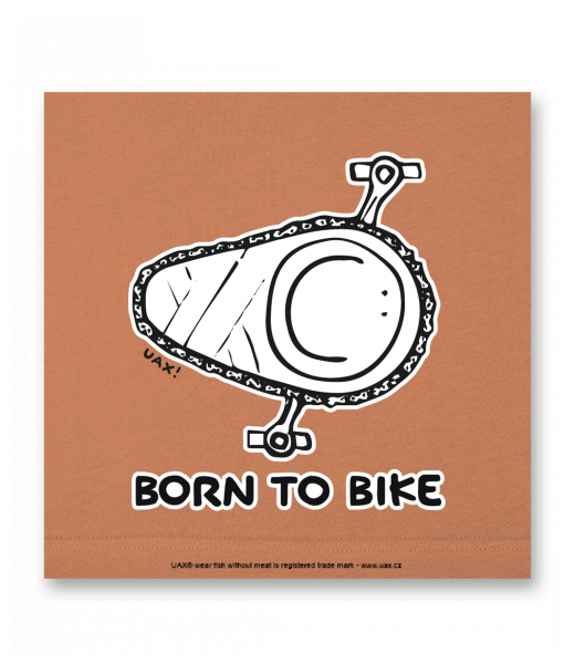 OBRAZ DO INTERIÉRU 110x110cm