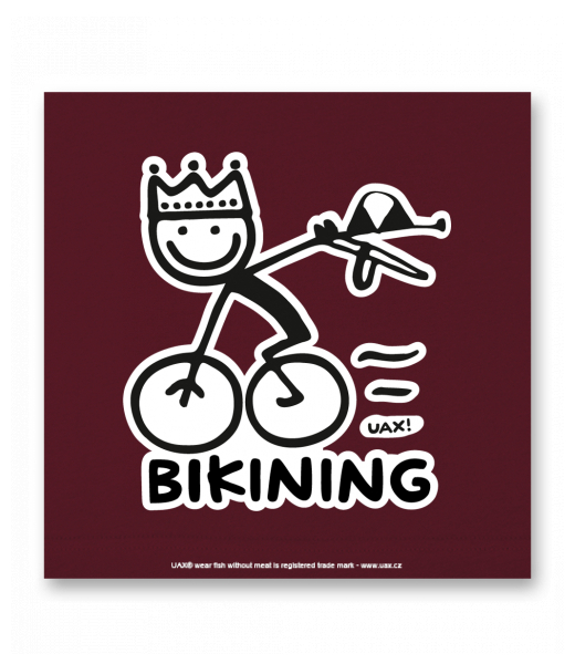 OBRAZ DO INTERIÉRU 110x110cm