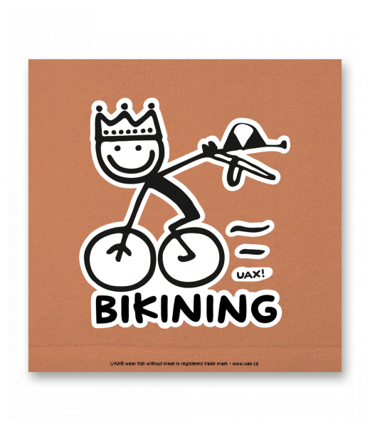 OBRAZ DO INTERIÉRU 110x110cm