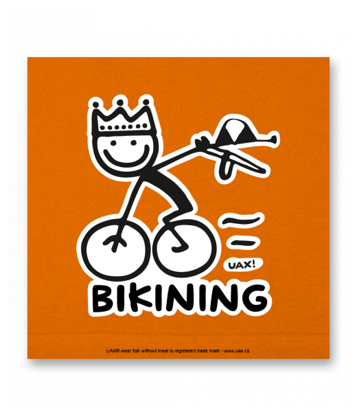 OBRAZ DO INTERIÉRU 110x110cm