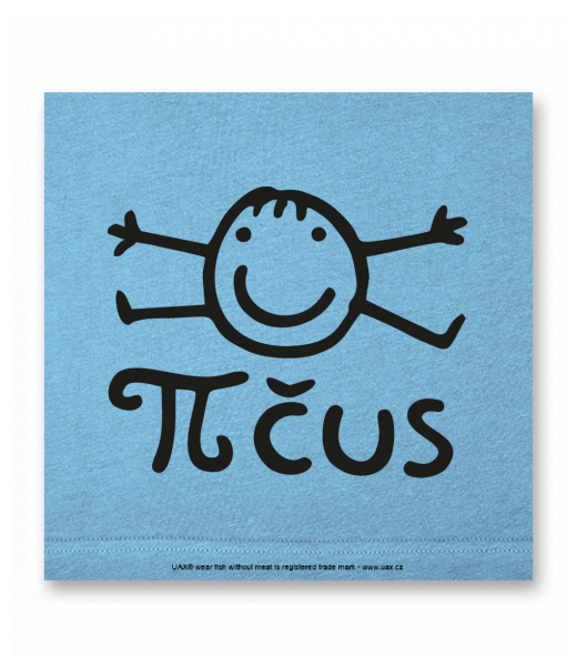 OBRAZ DO INTERIÉRU 110x110cm