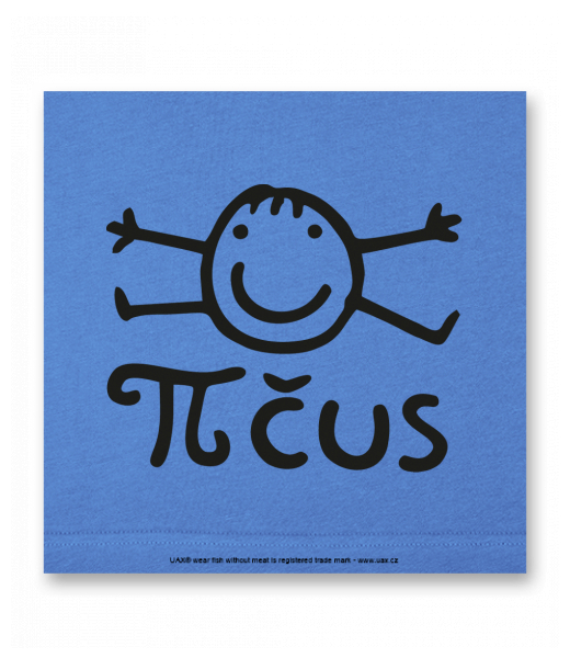 OBRAZ DO INTERIÉRU 110x110cm