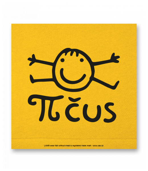 OBRAZ DO INTERIÉRU 110x110cm