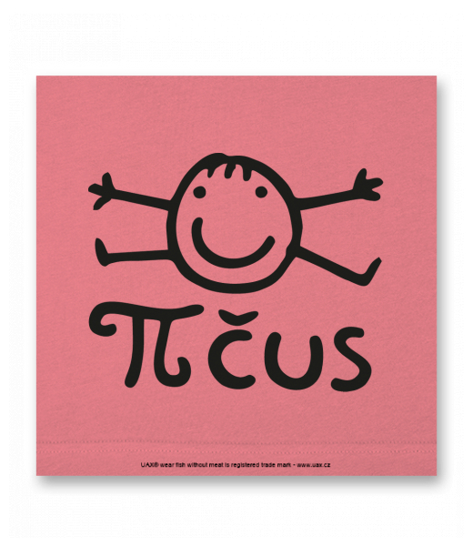 OBRAZ DO INTERIÉRU 110x110cm