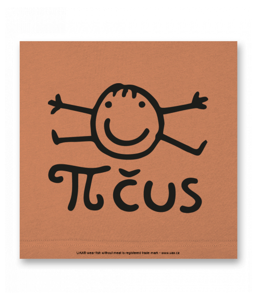 OBRAZ DO INTERIÉRU 110x110cm