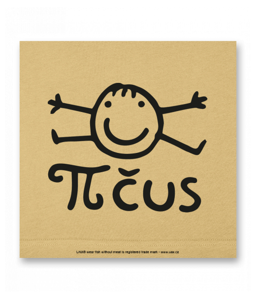 OBRAZ DO INTERIÉRU 110x110cm