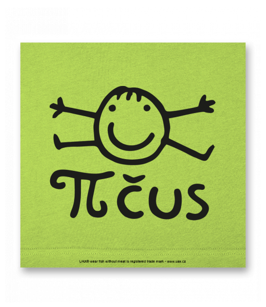 OBRAZ DO INTERIÉRU 110x110cm