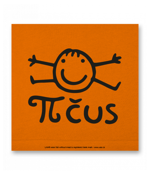 OBRAZ DO INTERIÉRU 110x110cm