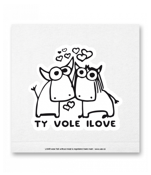 OBRAZ DO INTERIÉRU 110x110cm