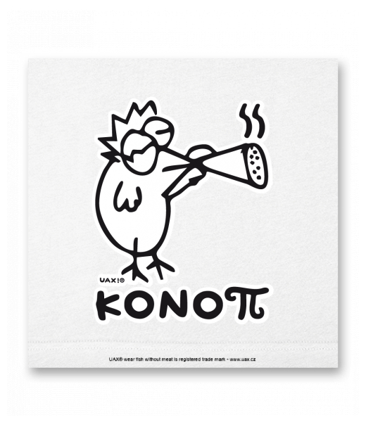 OBRAZ DO INTERIÉRU 110x110cm