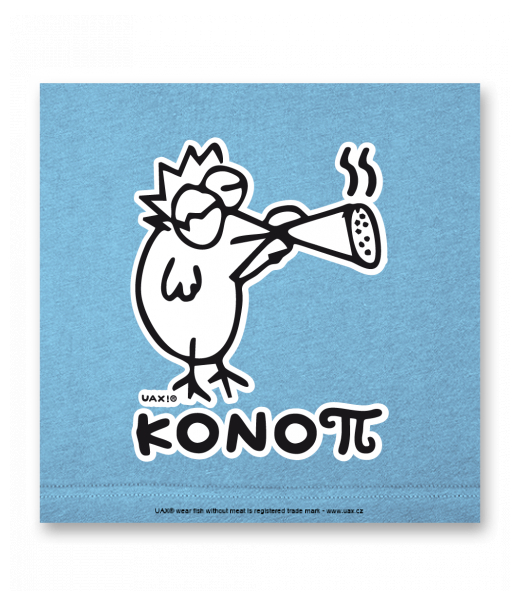 OBRAZ DO INTERIÉRU 110x110cm