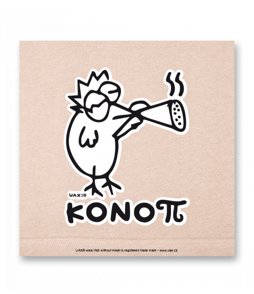 OBRAZ DO INTERIÉRU 110x110cm