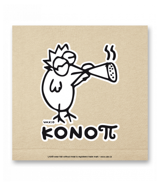 OBRAZ DO INTERIÉRU 110x110cm