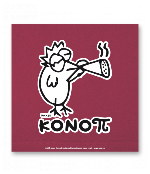 OBRAZ DO INTERIÉRU 110x110cm