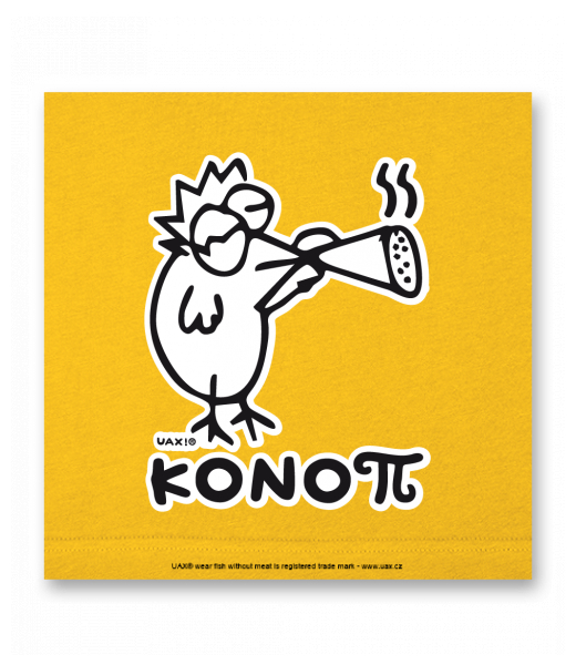 OBRAZ DO INTERIÉRU 110x110cm