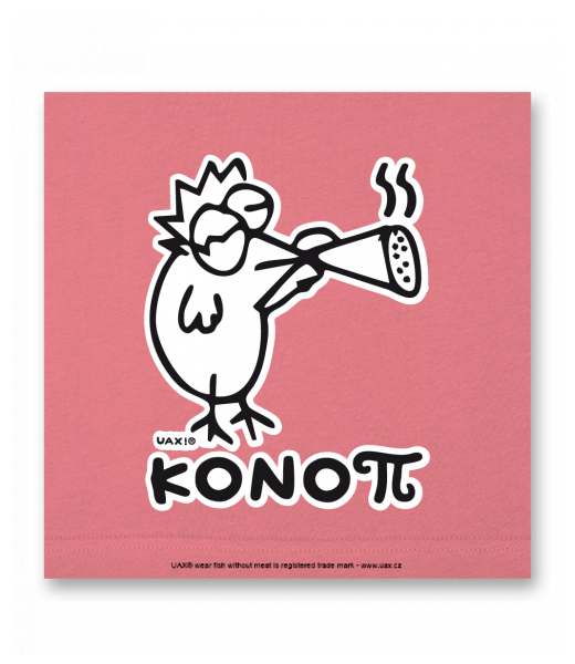 OBRAZ DO INTERIÉRU 110x110cm