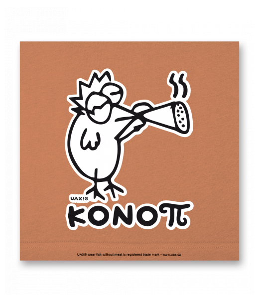 OBRAZ DO INTERIÉRU 110x110cm