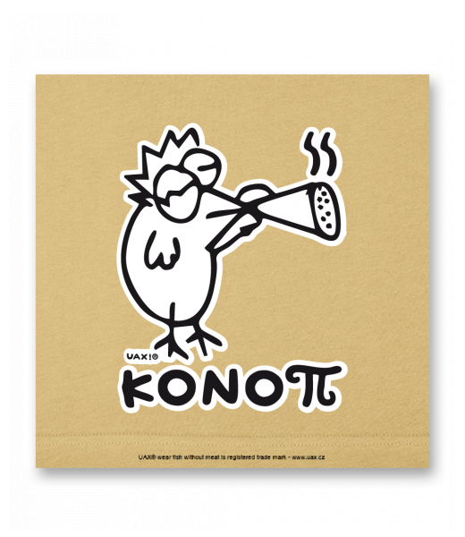 OBRAZ DO INTERIÉRU 110x110cm