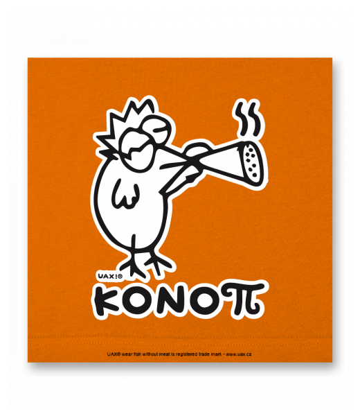 OBRAZ DO INTERIÉRU 110x110cm